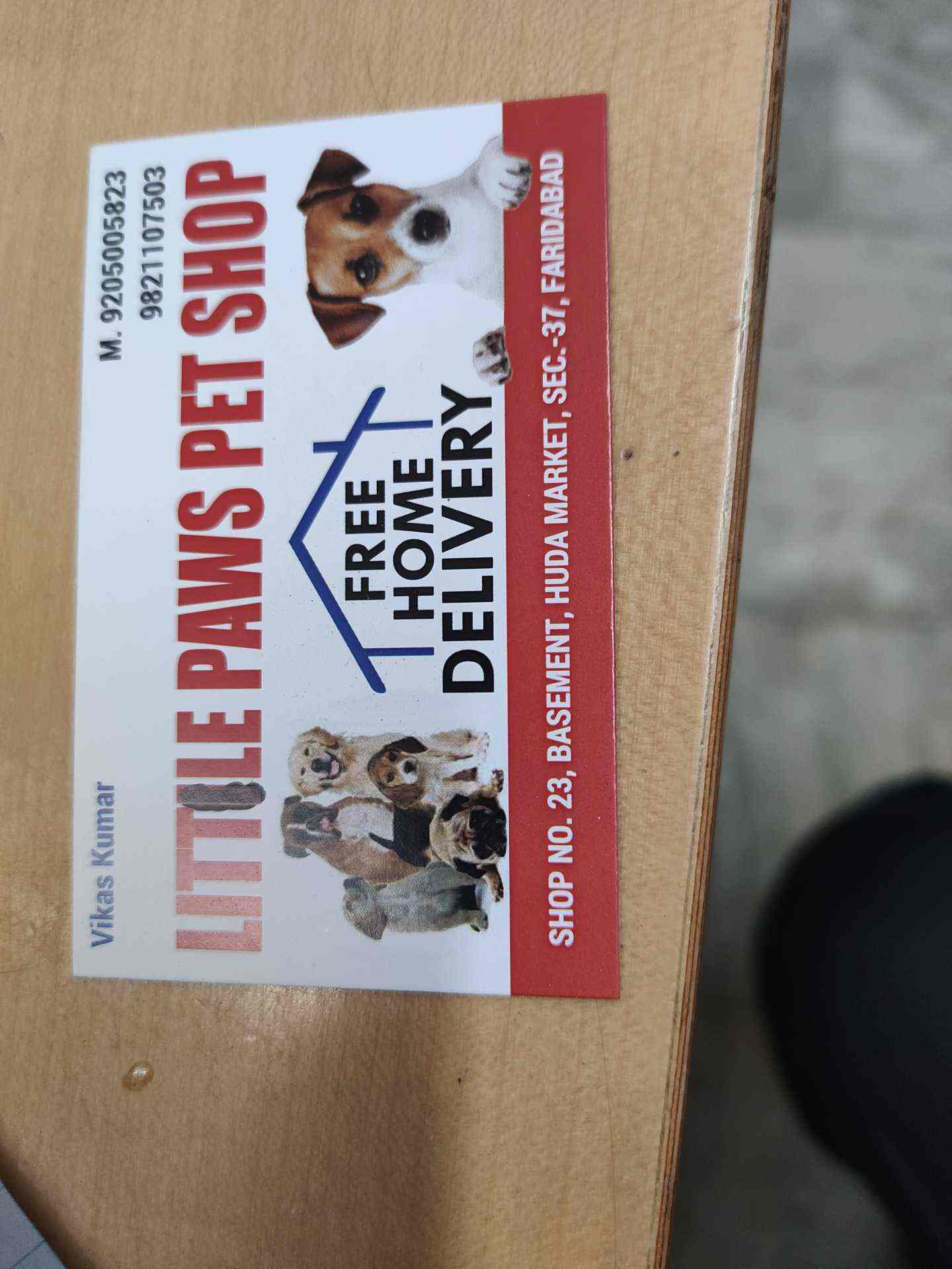Little Paws Pet Shop (Closed Down) in Faridabad,Delhi Best in Delhi