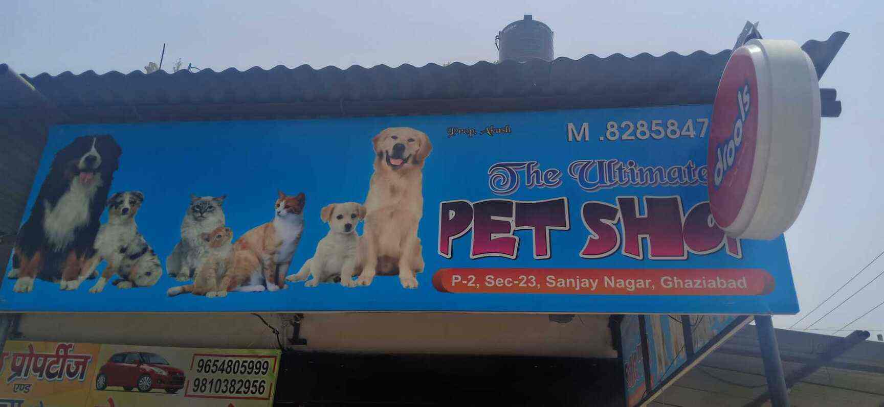 nearest pet shop around me