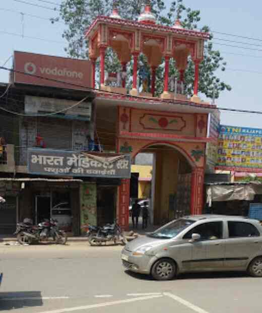 Delhi Gaushala, Najafgarh Cowshed in Delhi Justdial