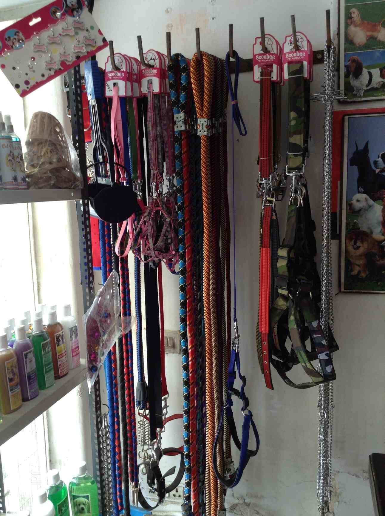 Dog Pet Shop Delhi Dog Pet Shop Delhi