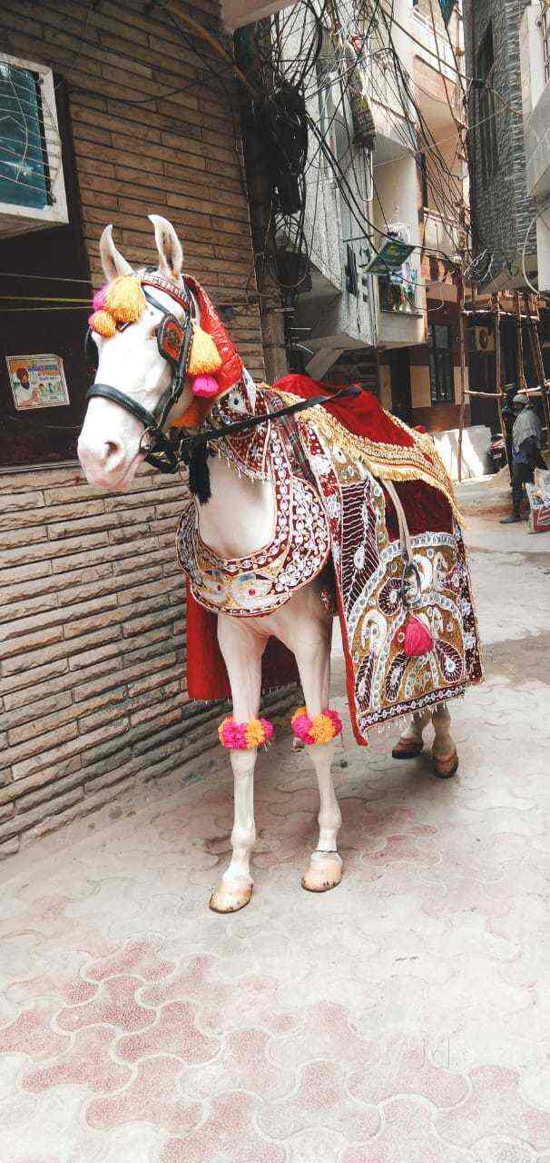 Soni Band in Seelampur,Delhi Best Orchestra Bands in Delhi Justdial