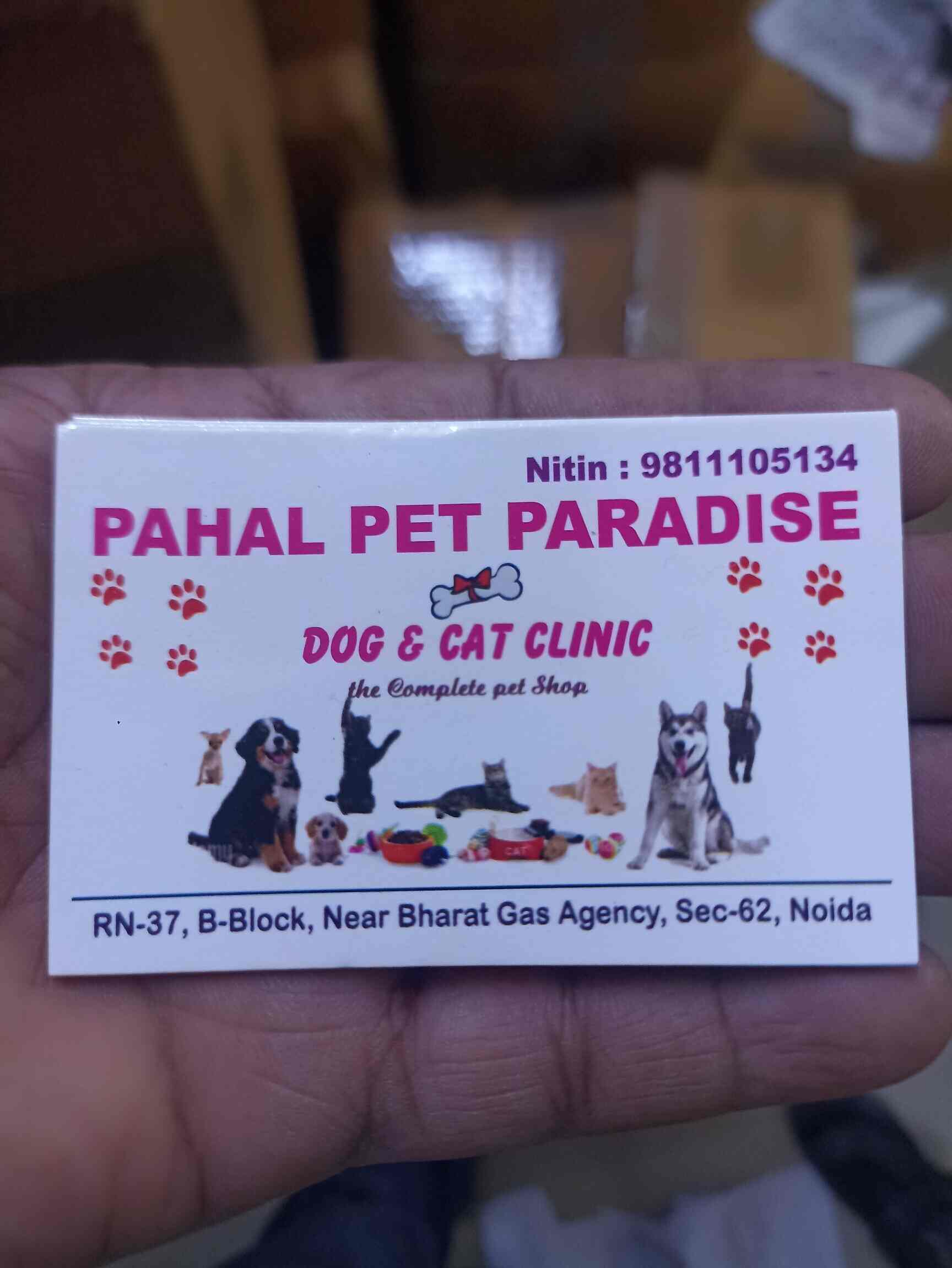 Pahal Pet Paradise in Noida Sector 62,Delhi Best Aquarium Accessory