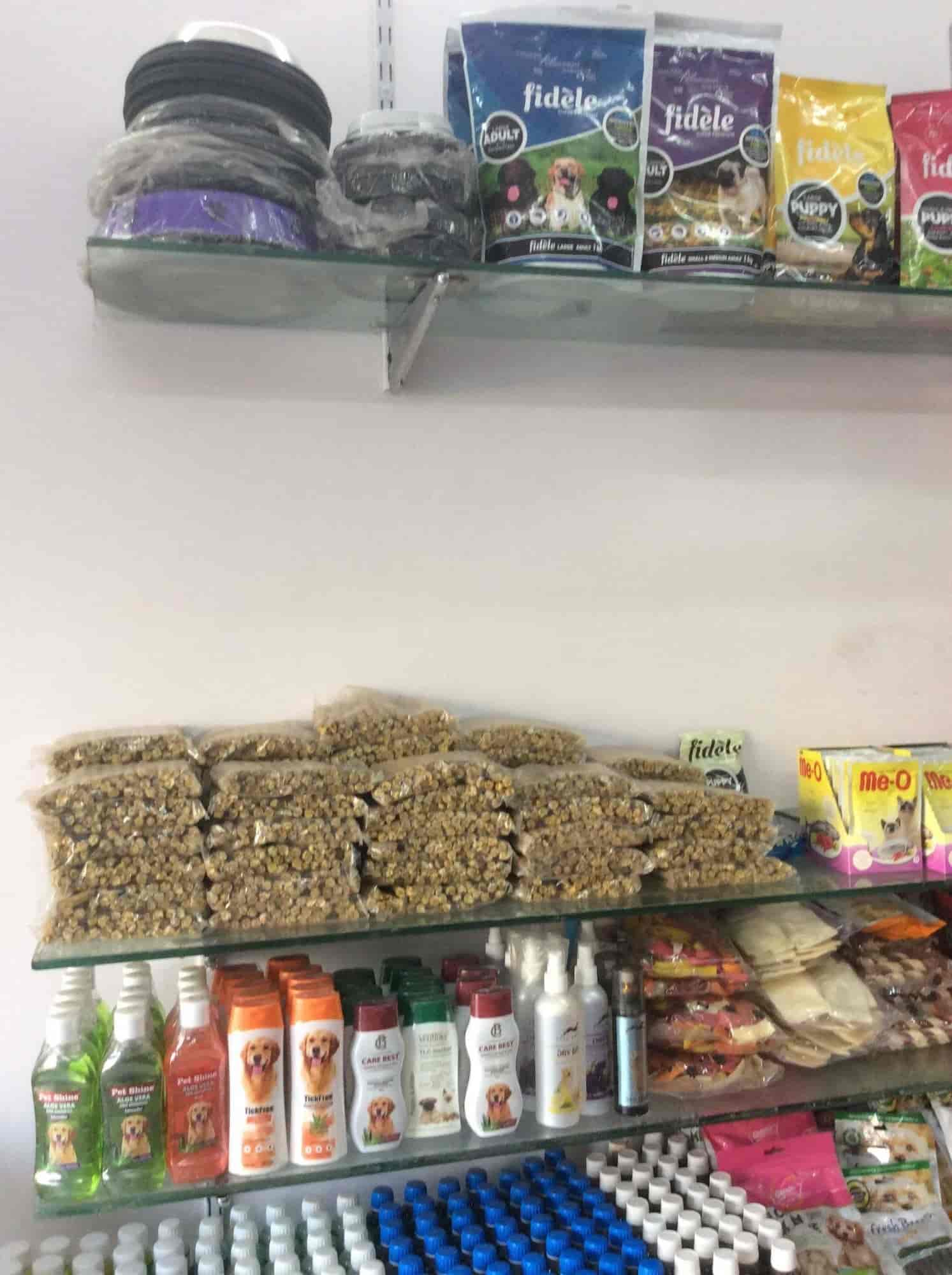 Fancy Fish Aquarium in Rohini,Delhi Best Aquarium Accessory Dealers