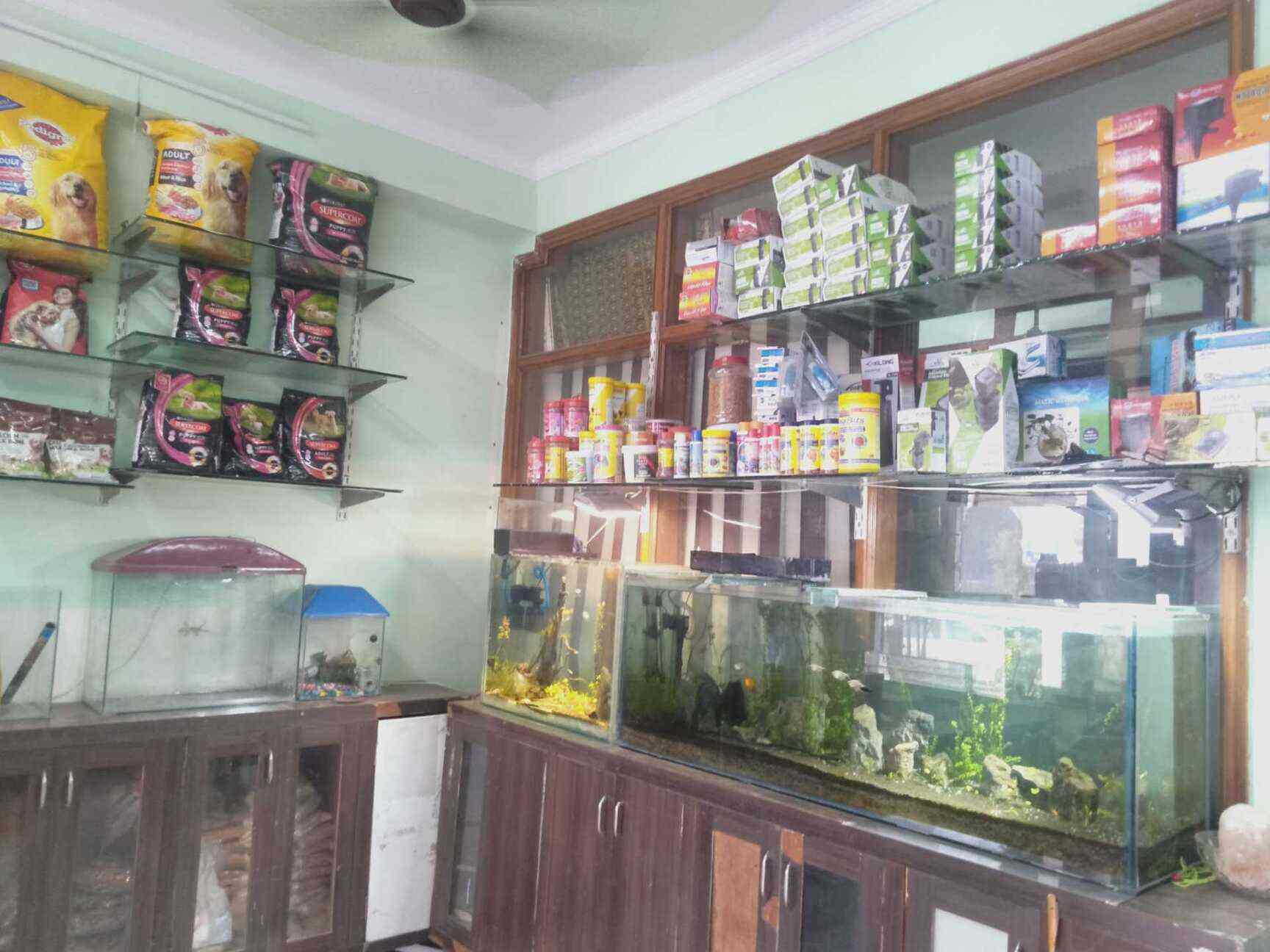 Fancy Fish Aquarium in Rohini,Delhi Best Aquarium Accessory Dealers