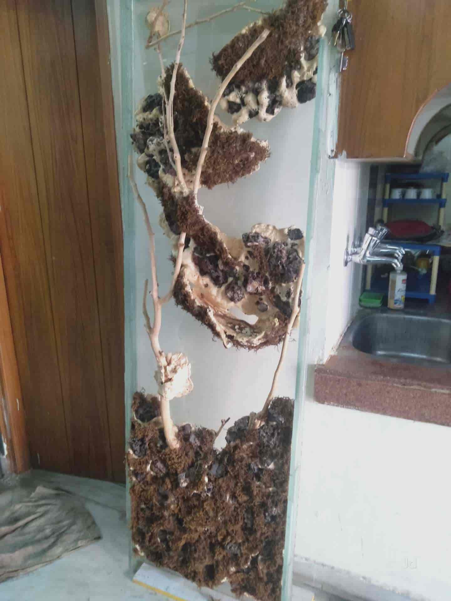 Fancy Fish Aquarium in Rohini,Delhi Best Aquarium Accessory Dealers