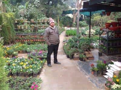 D S Kataria Nursery Photos Nizamuddin Delhi Pictures Images D S Kataria Nursery Photos Nizamuddin