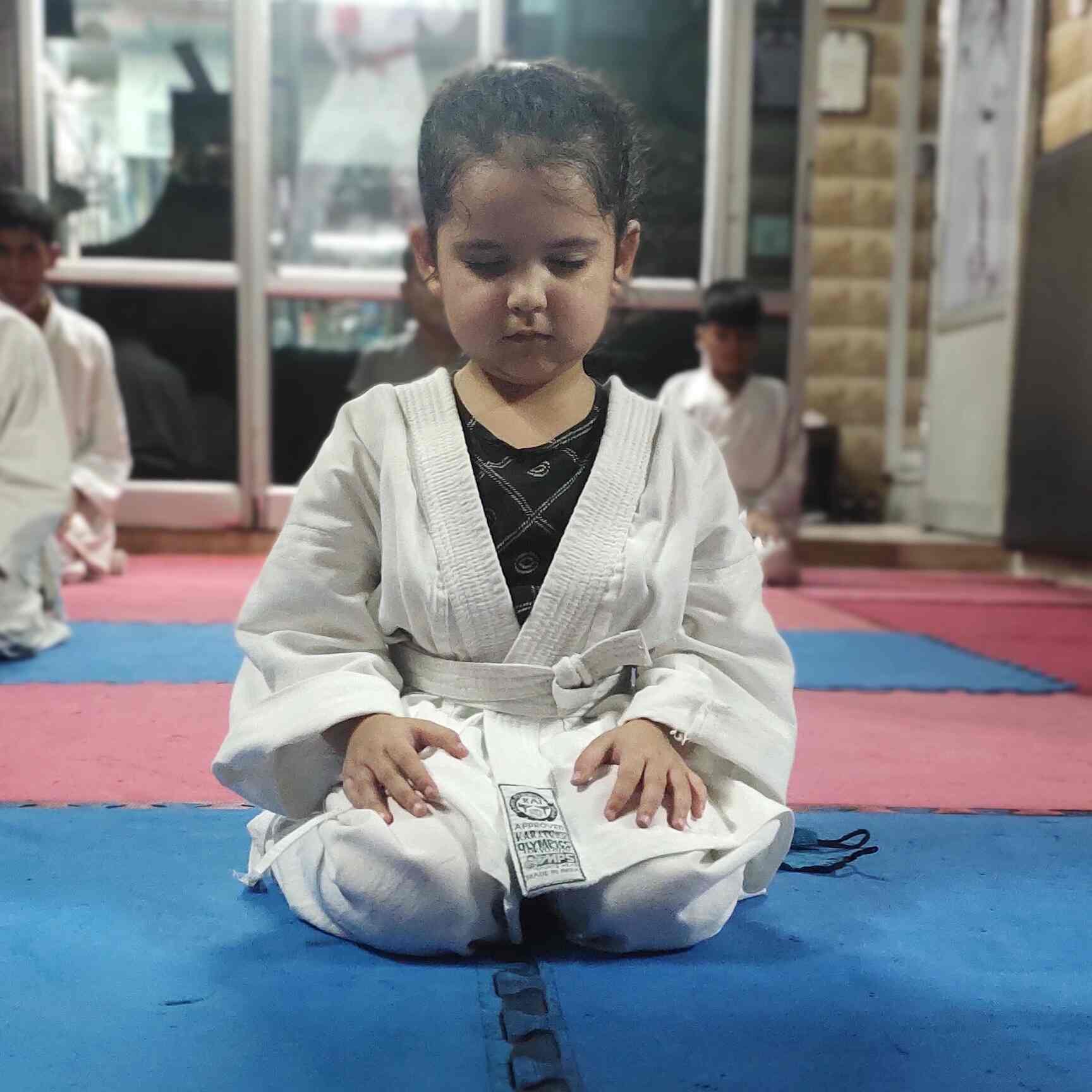 Top Mixed Martial Art Classes For Kids in Delhi Best Mma Training
