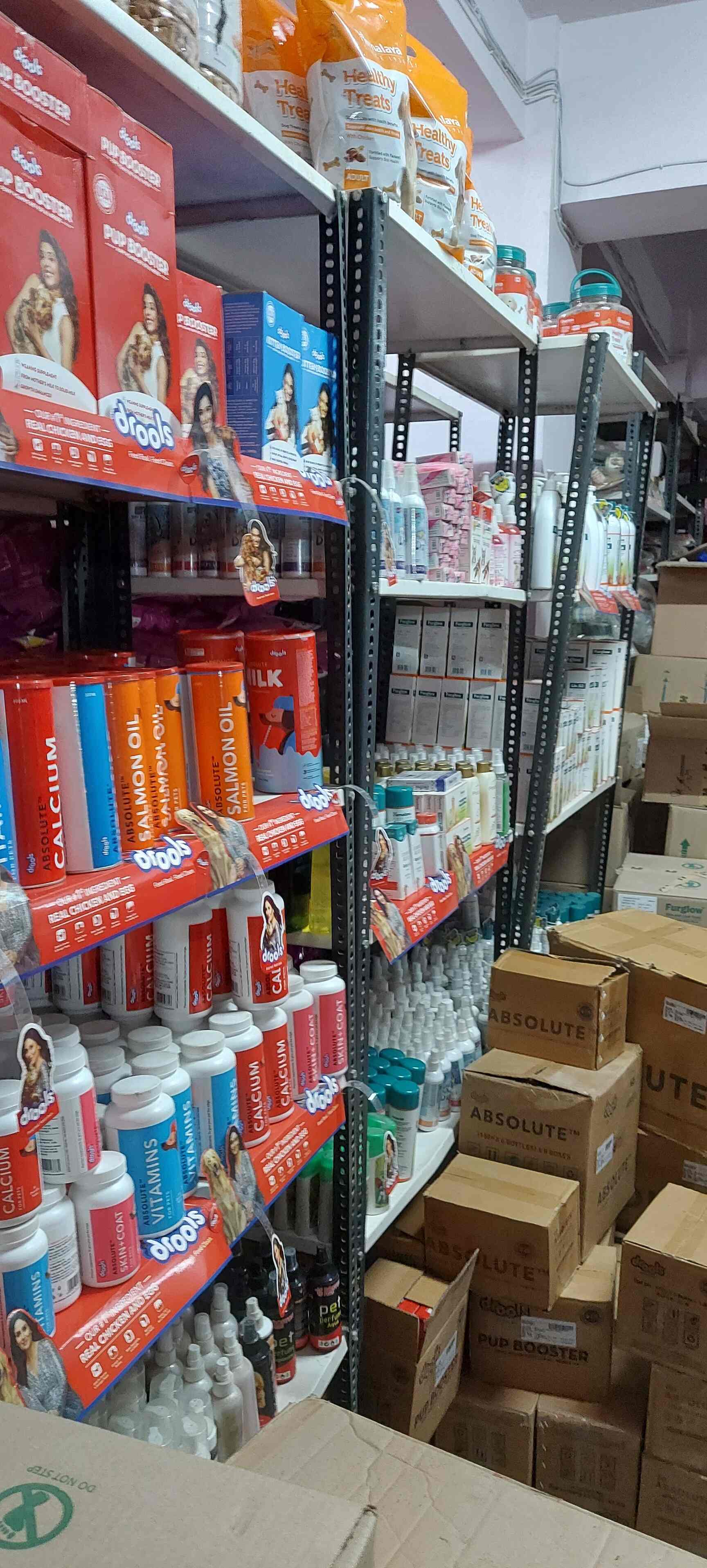 Top Pet Shops For Chihuahua Dog in Janakpuri Best Pet Stores For