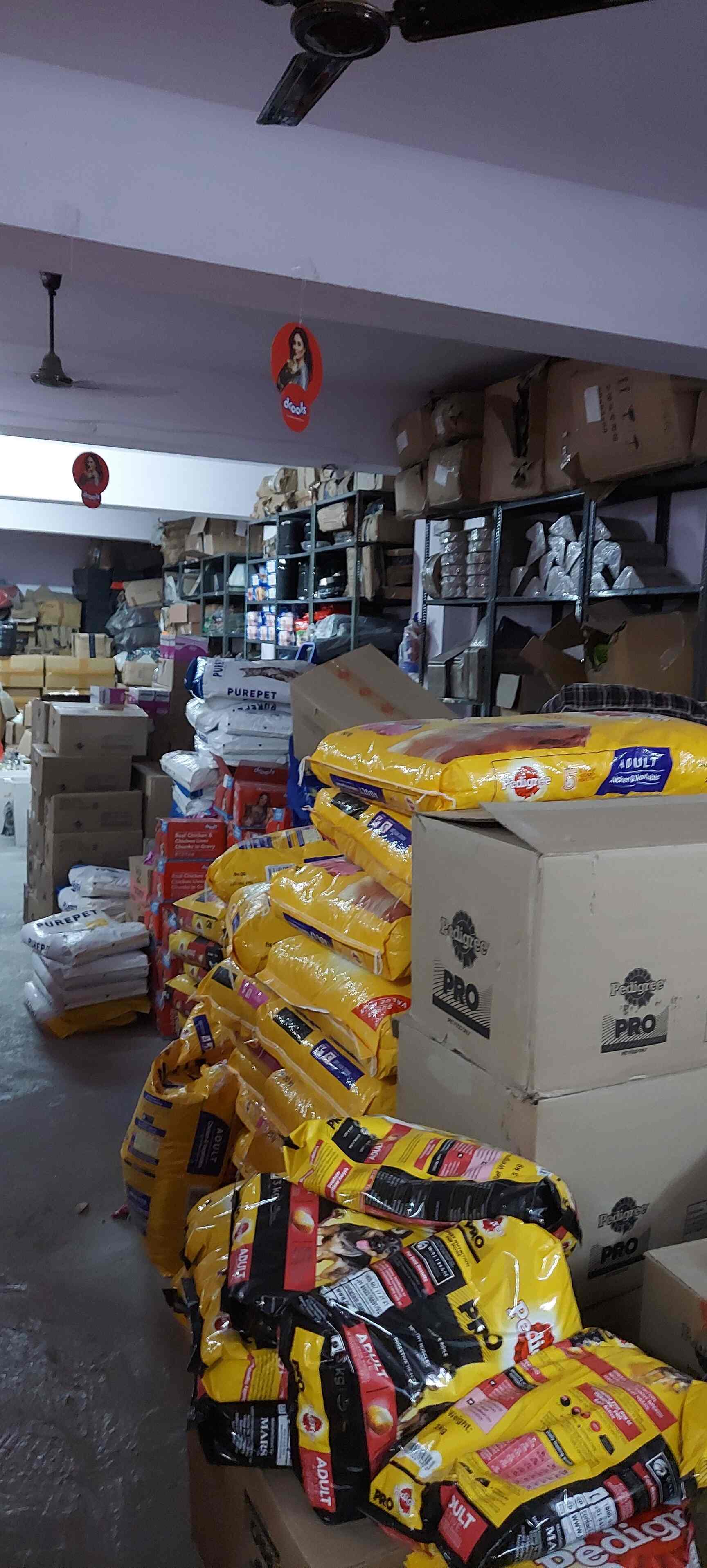 Top Pet Shops For Chihuahua Dog in Janakpuri Best Pet Stores For