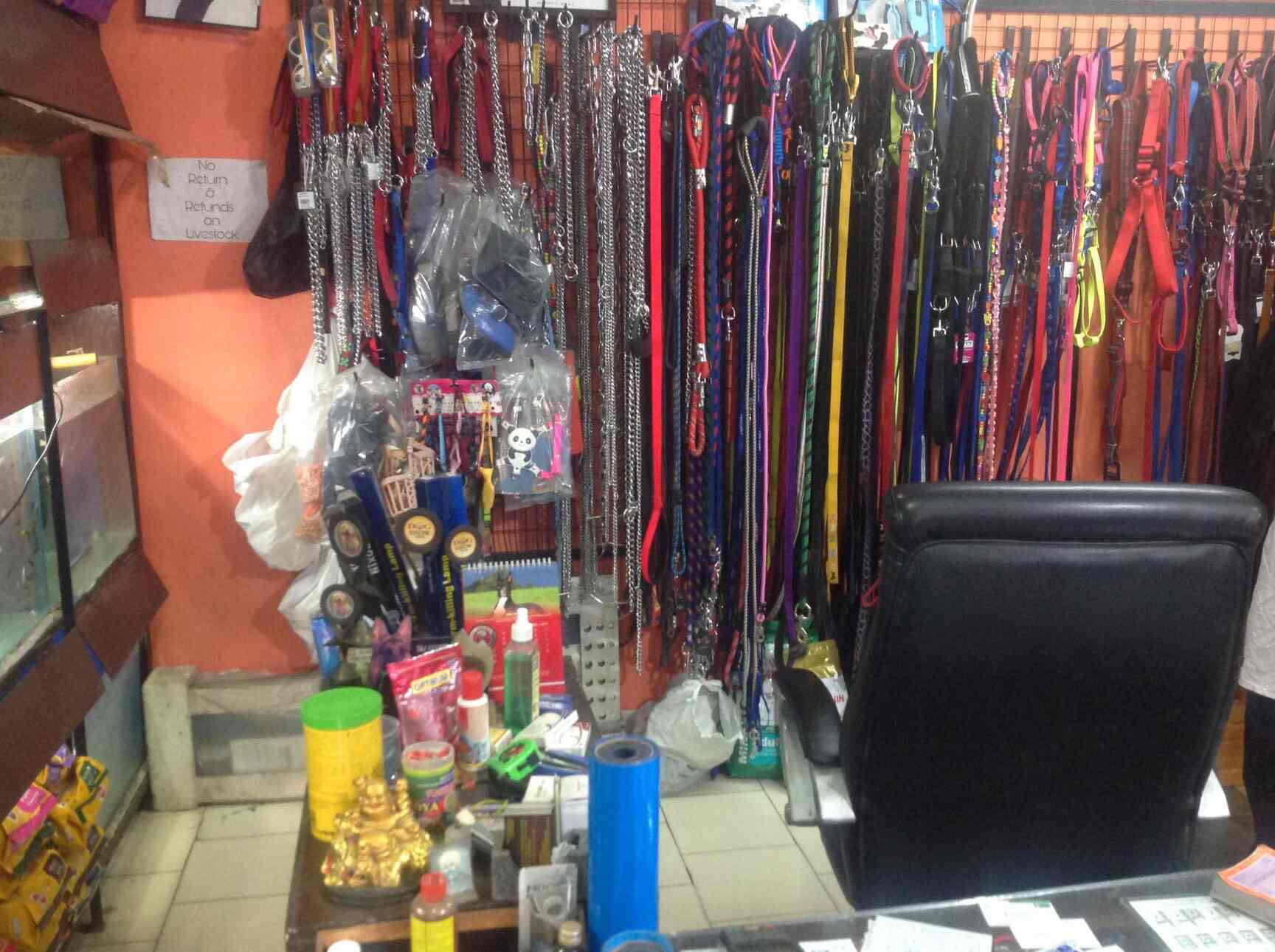 Top 10 Pet Shops For Birds in Noida Sector 18 Best Bird Shops Delhi