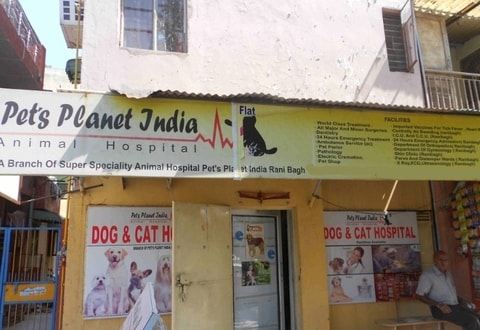 Dog hospital best sale in rohini