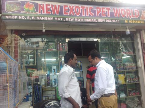 puppies world moti nagar