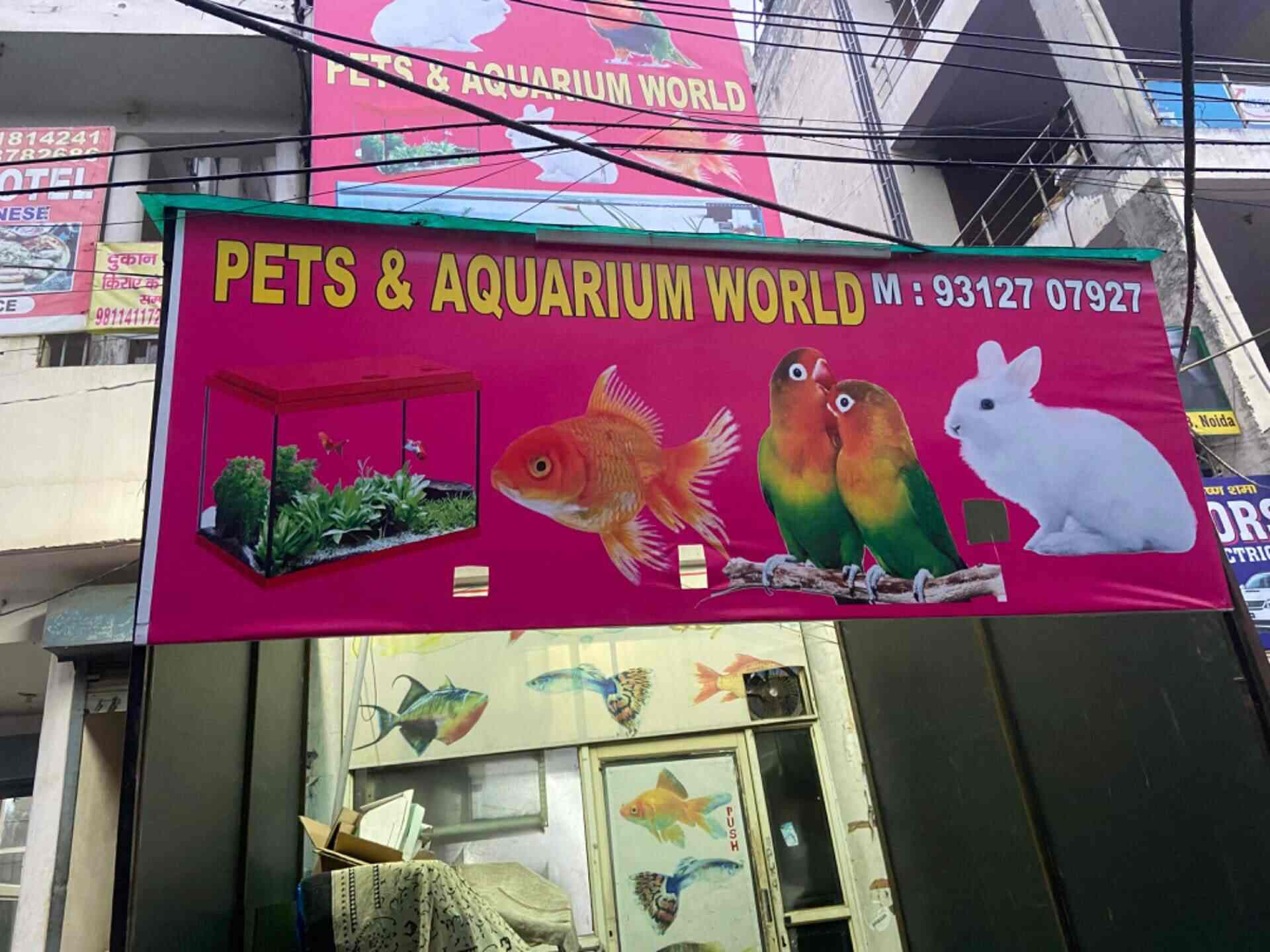 Pet And Aquarium World