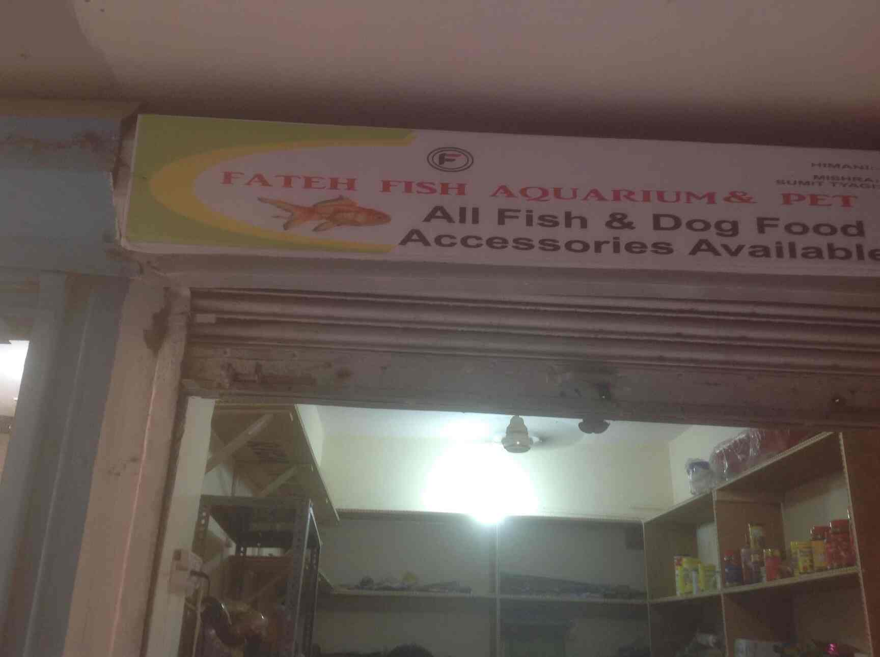 Top Fish Aquarium Dealers in Geeta Colony Best Fish Aquarium Shops