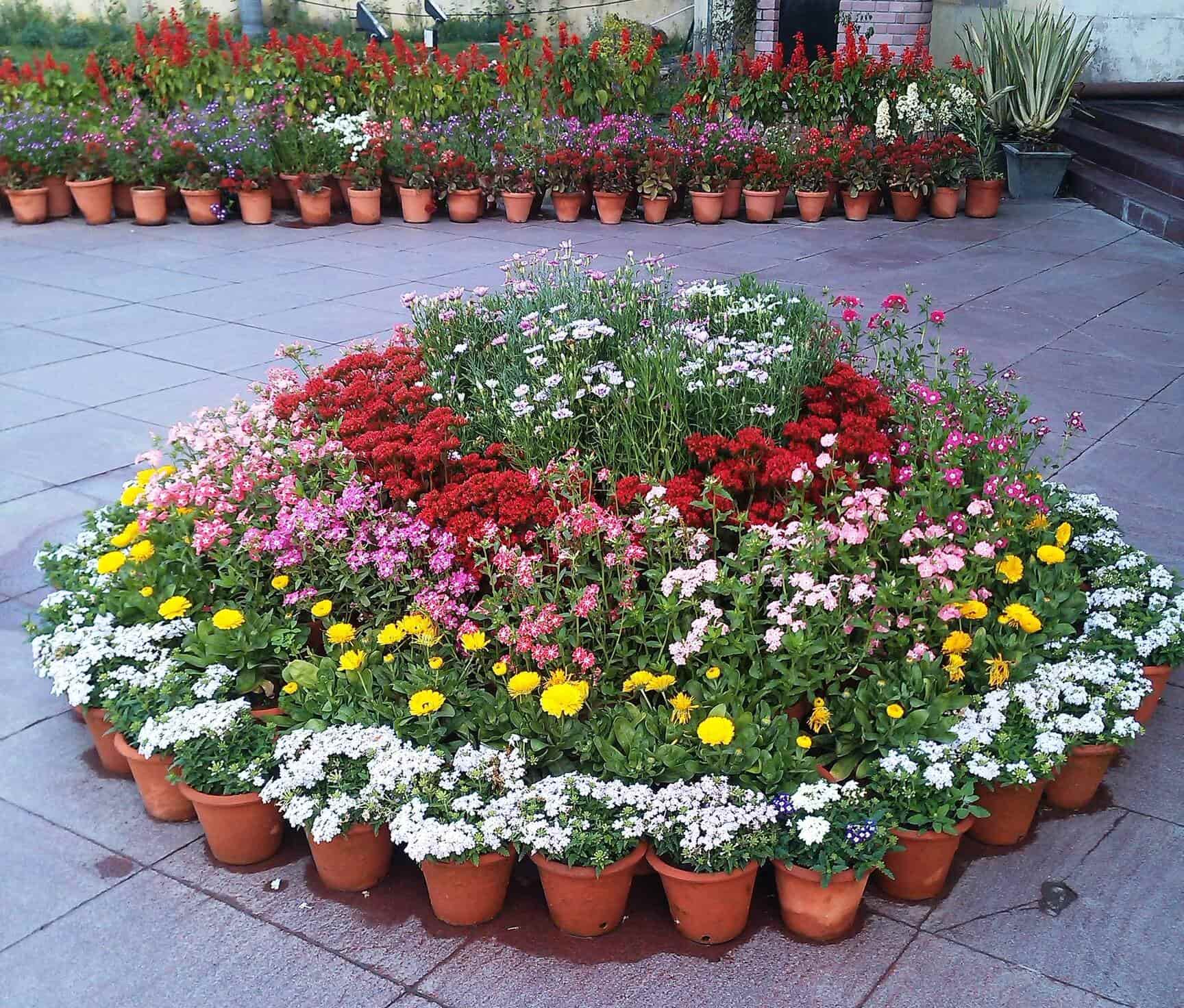 Top Plant Nurseries in Dwarka,Delhi Best Government Plant Nurseries