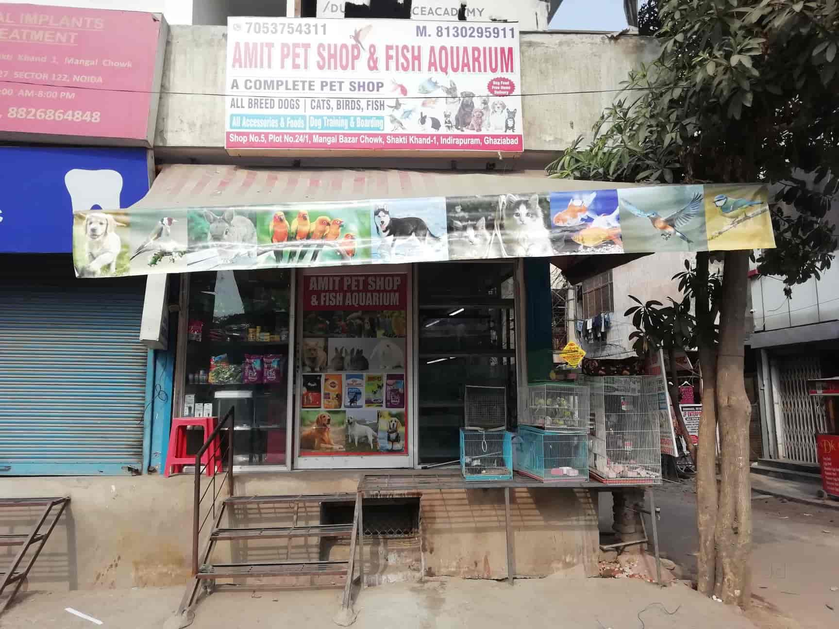 pet shop in indirapuram