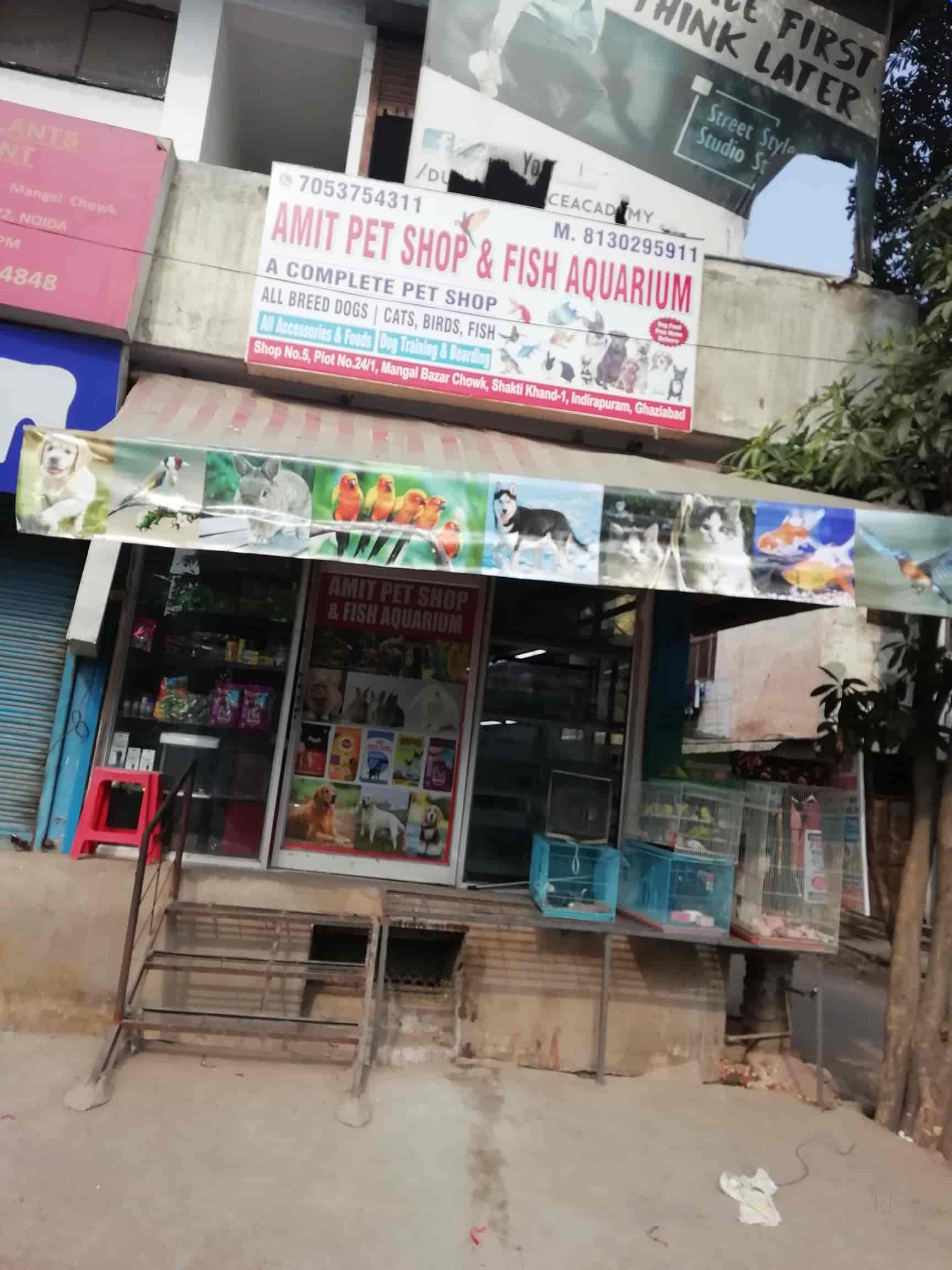 pet shop in indirapuram
