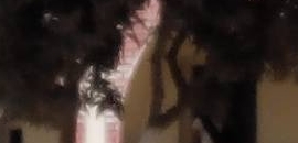 Manav Sthali Public School in Barthi, deoria