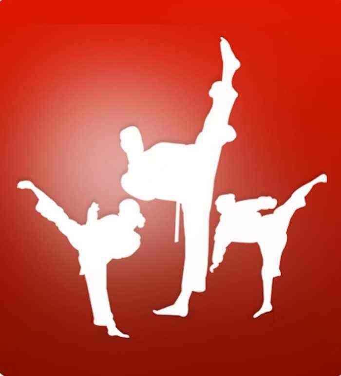 Top Taekwondo Classes in Durgapur Best Taekwondo Martial Art Classes