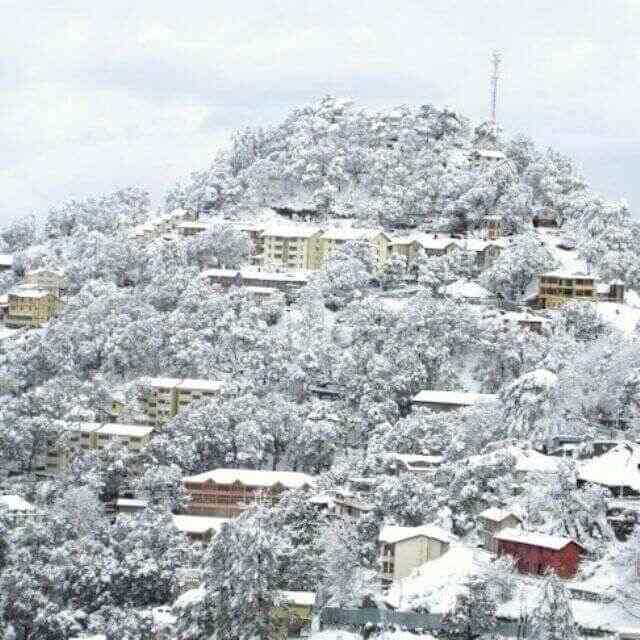 Himachal Services in Mcleod Ganj,Dharamshala Best Car Rental For