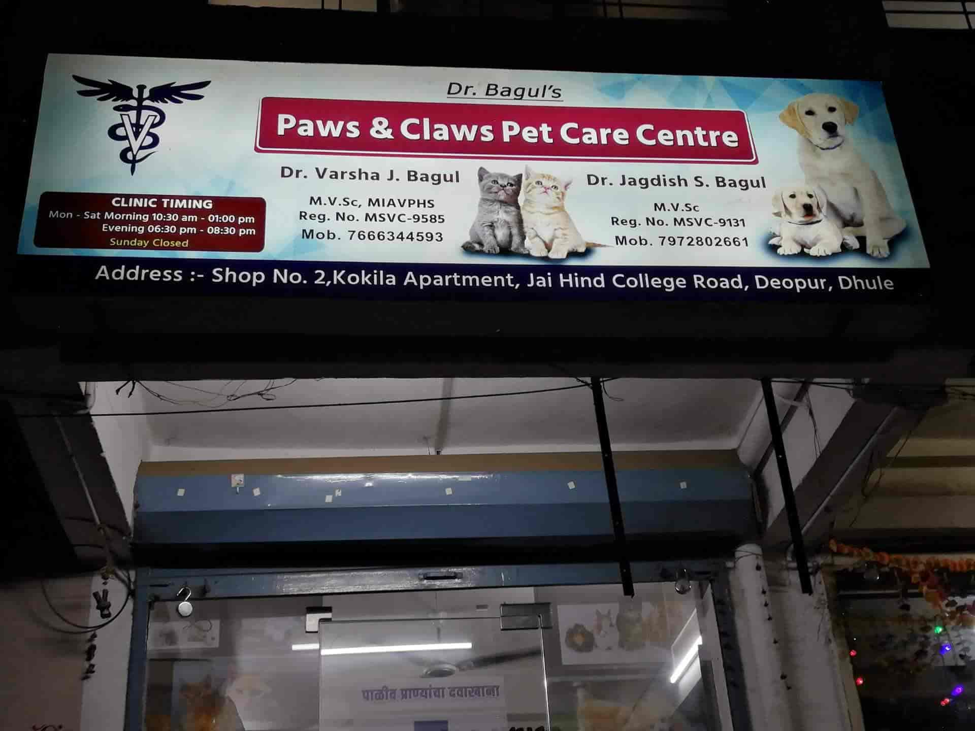 Top Veterinary Clinics In Dhule Best Clinics For Pets Justdial