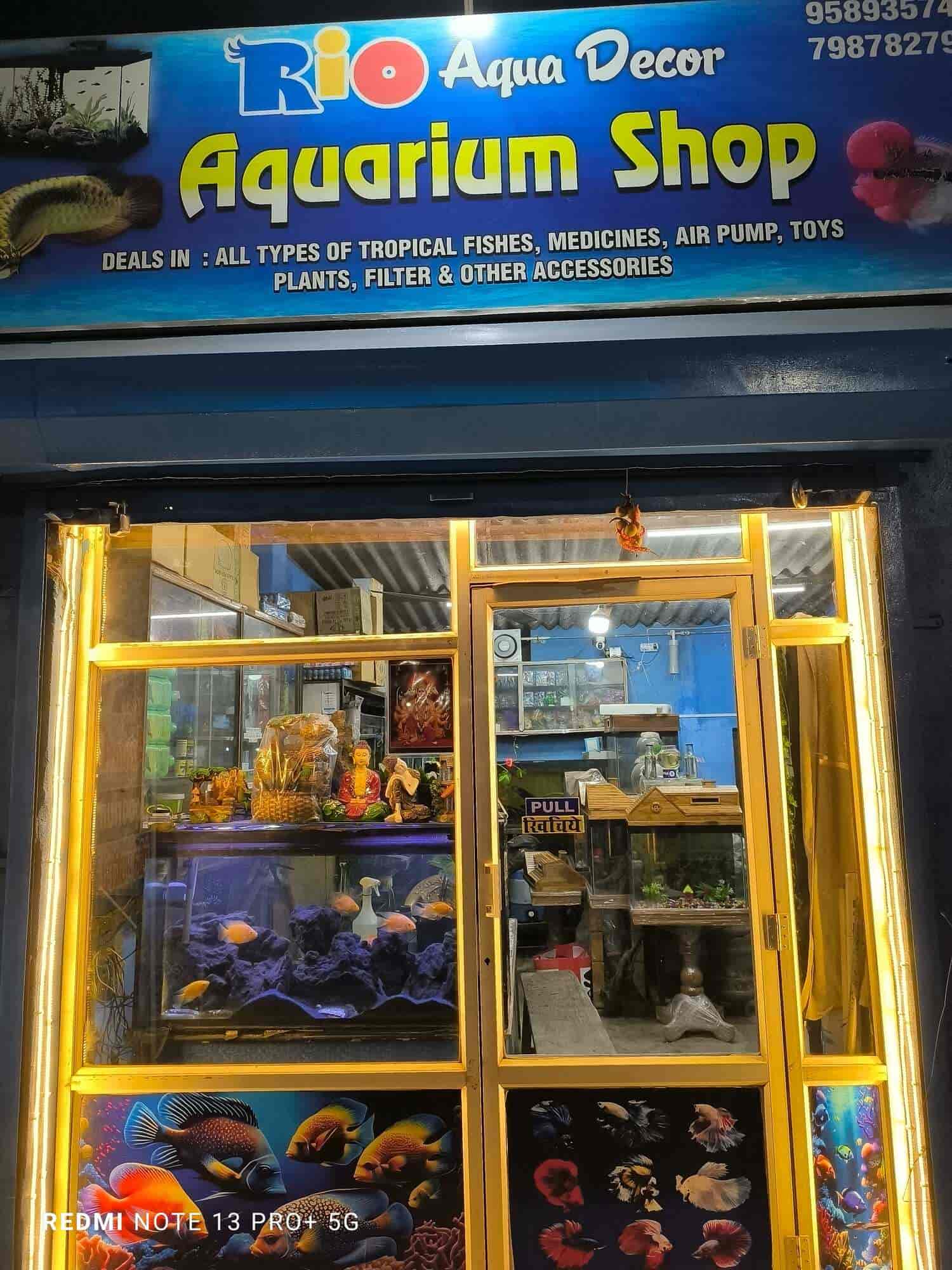 Top Fish Aquarium Dealers in Bhilai Sector 1 Best Fish Aquarium Shops Justdial