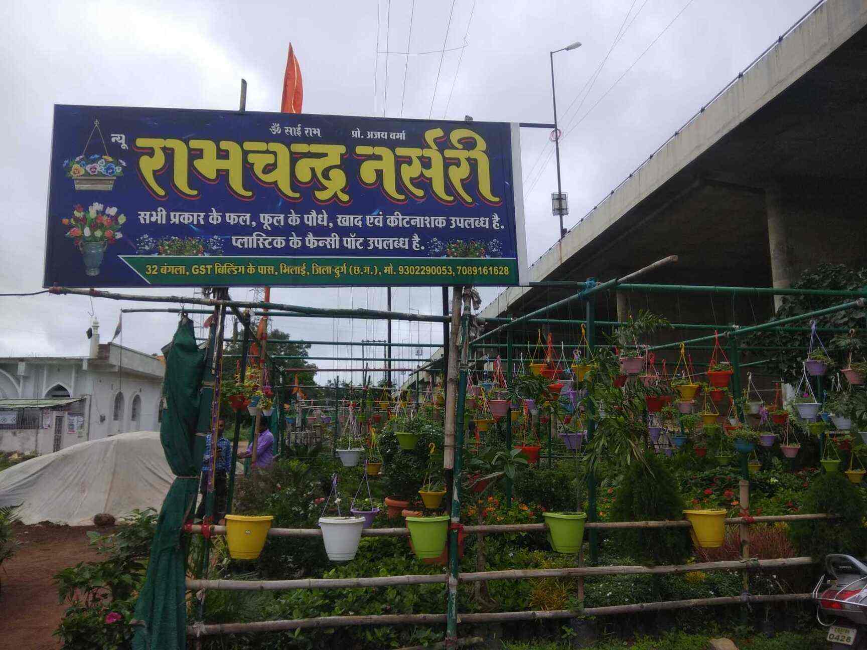 New Ram Chandra Nursery in HUDCO,Durg Best Fruit Plant Nurseries in