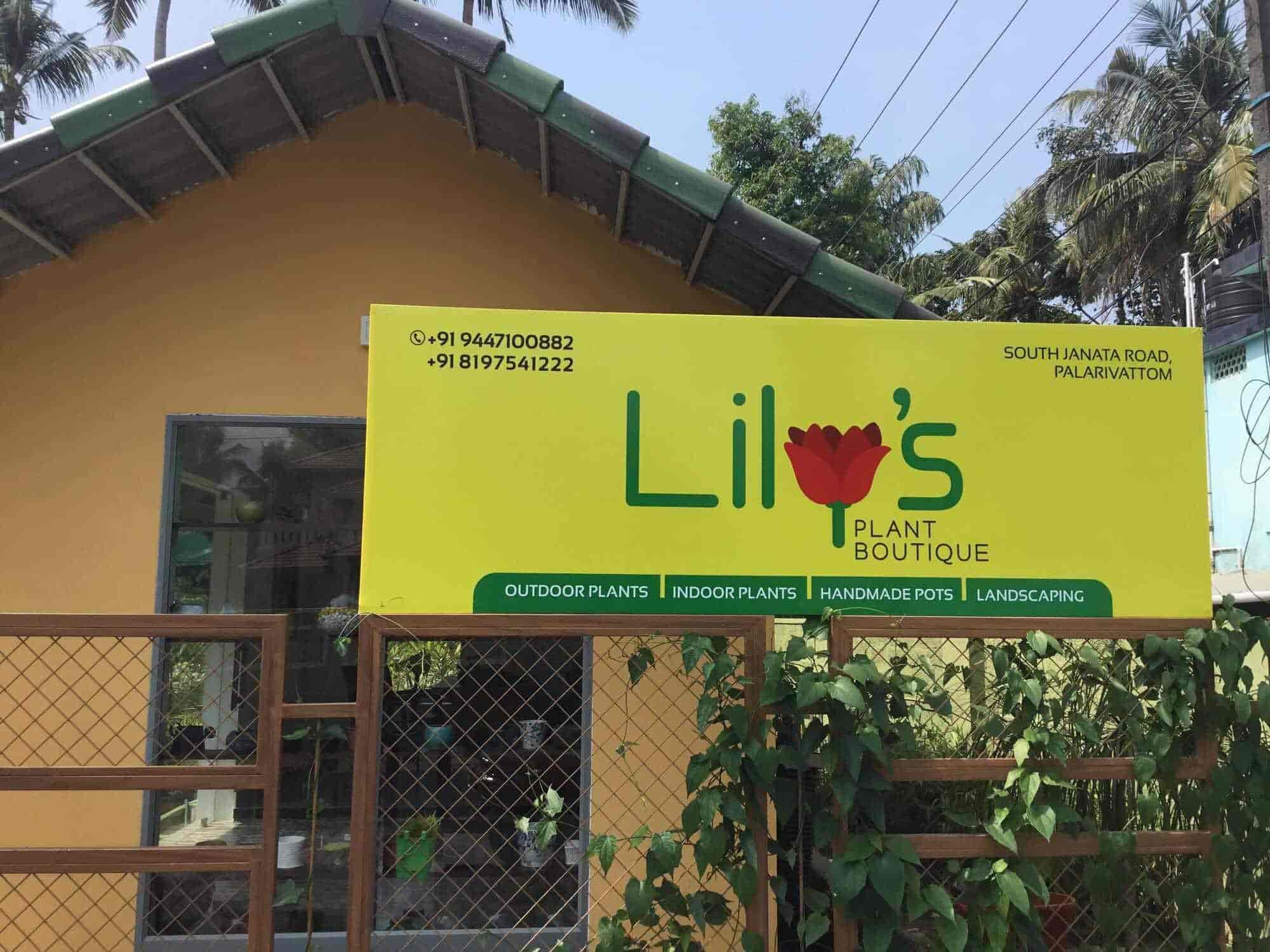 Top 10 Plant Nurseries In Edapally Best Nursery Plant Suppliers Ernakulam Justdial