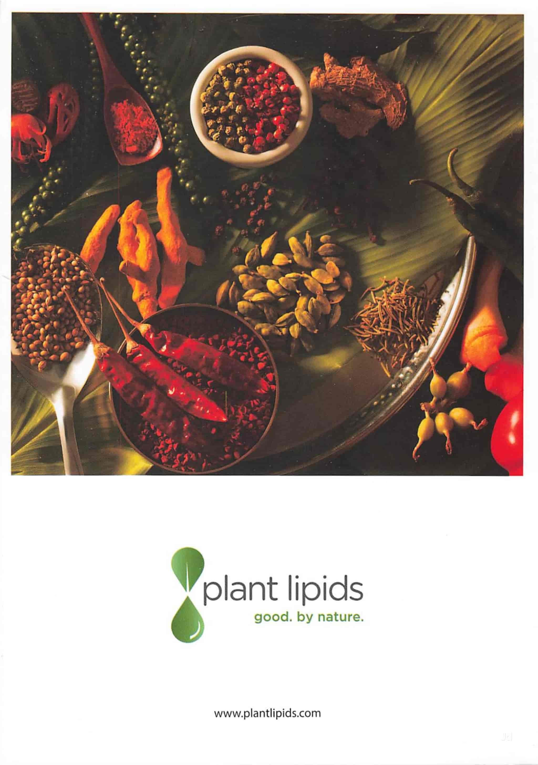 Plant Lipids in Kadayirippu,Ernakulam - Best Black Pepper Powder Retailers  near me in Ernakulam - Justdial