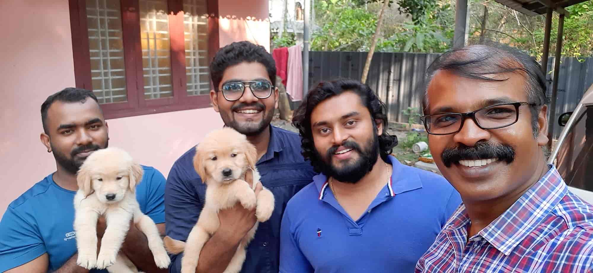 Top Pet Shops For Boxer Dog in Kerala Best Boxer Dog Dealers Thrissur