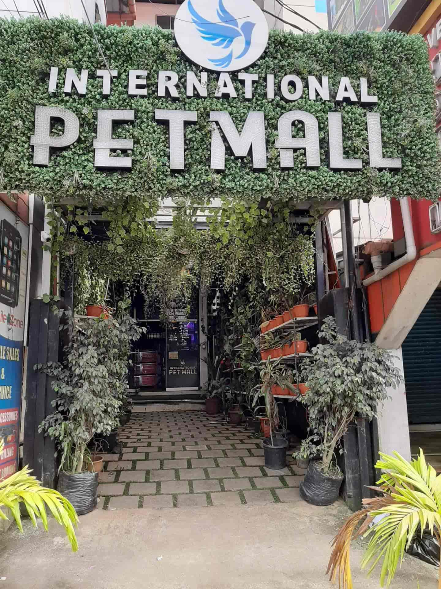 International Pet Mall in Padamughal Ernakulam Best Pet Shops near me in Ernakulam Justdial