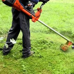 Grass cutting best sale service near me