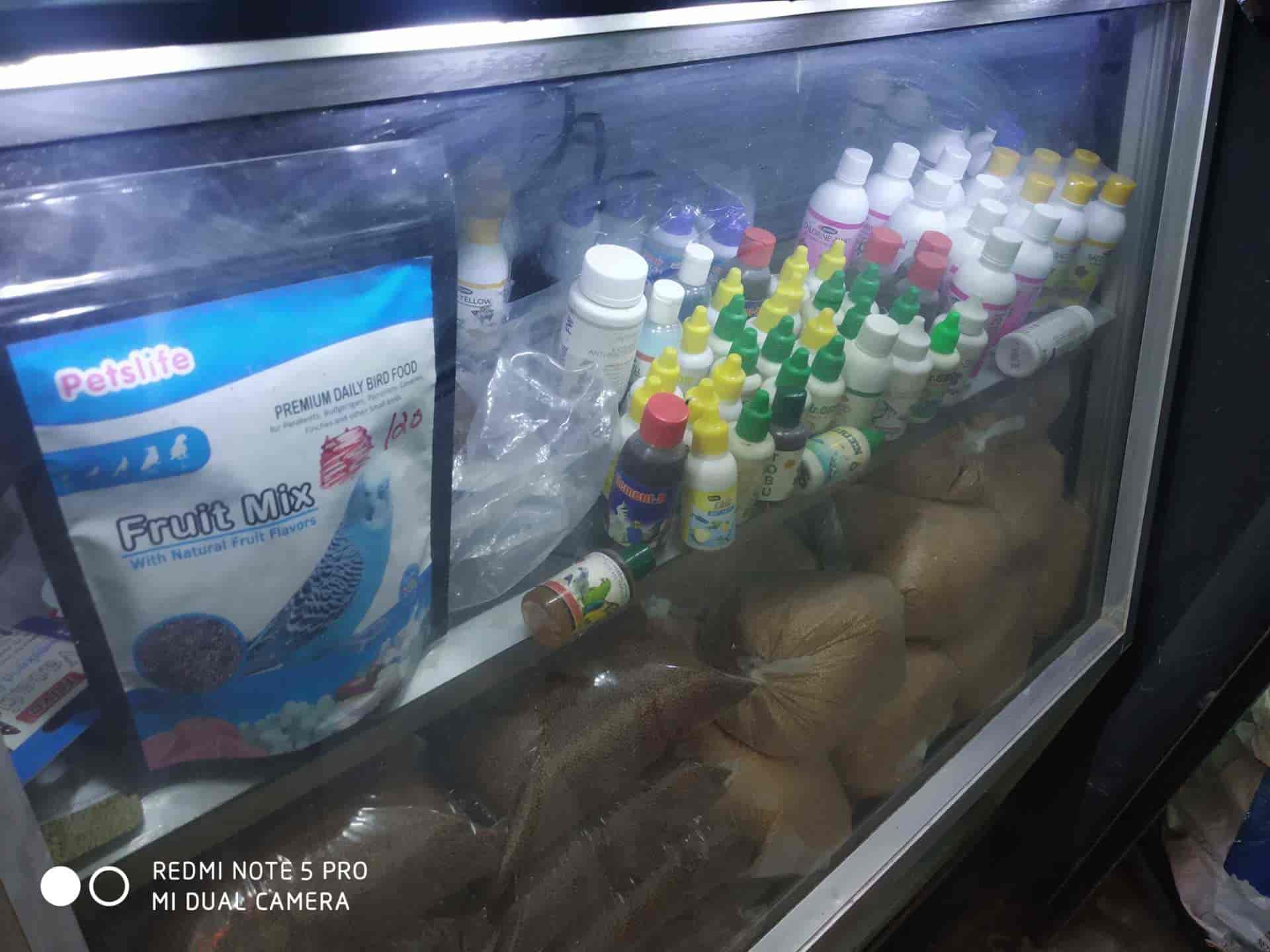 Top Pet Shops in Ernakulam Best Pet Store near me Justdial