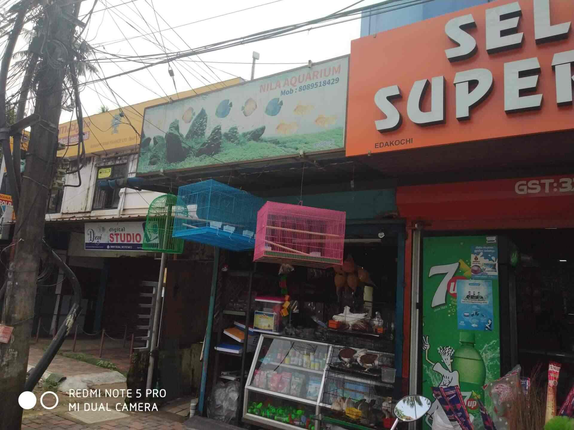 Top Pet Shops in Ernakulam Best Pet Store near me Justdial