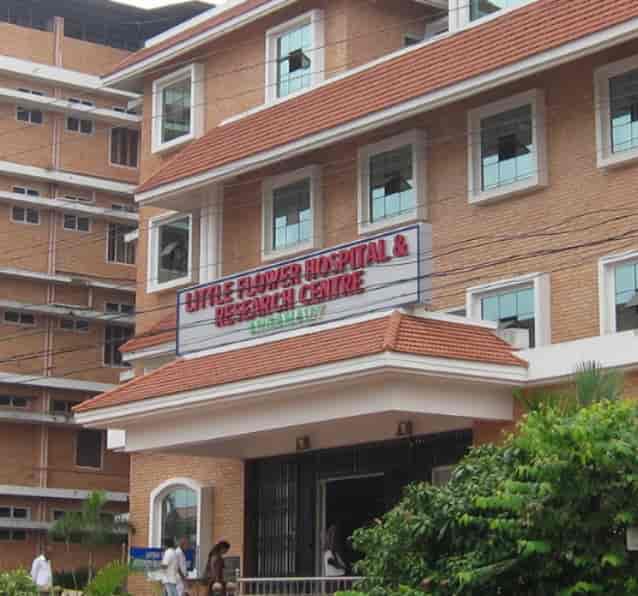 Skin Doctors In Little Flower Hospital Angamaly Best Flower Site
