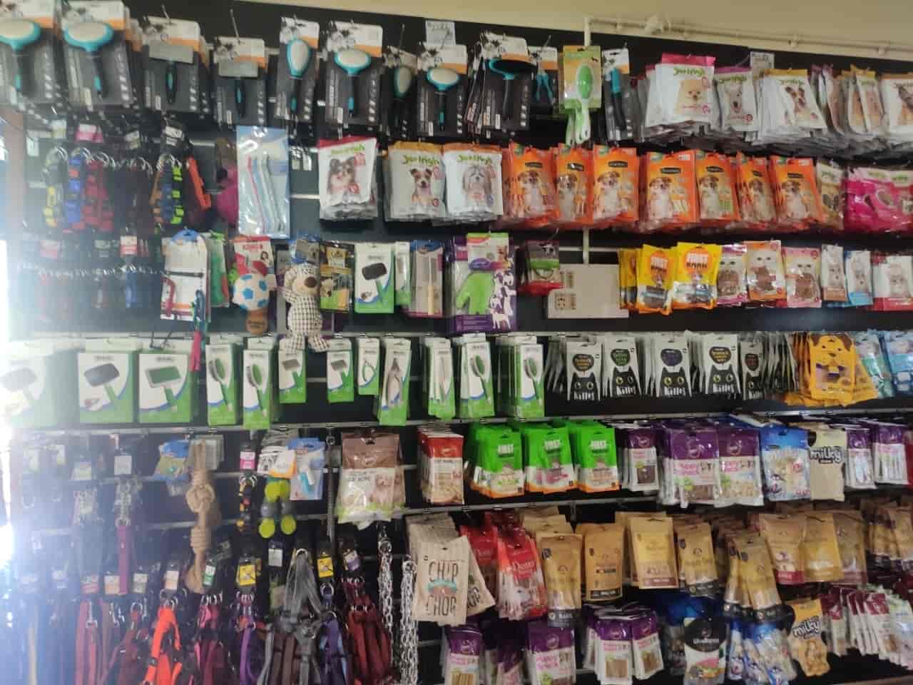 Catalogue Leyton Pet Food And Accessories Wholesale in Palarivattom