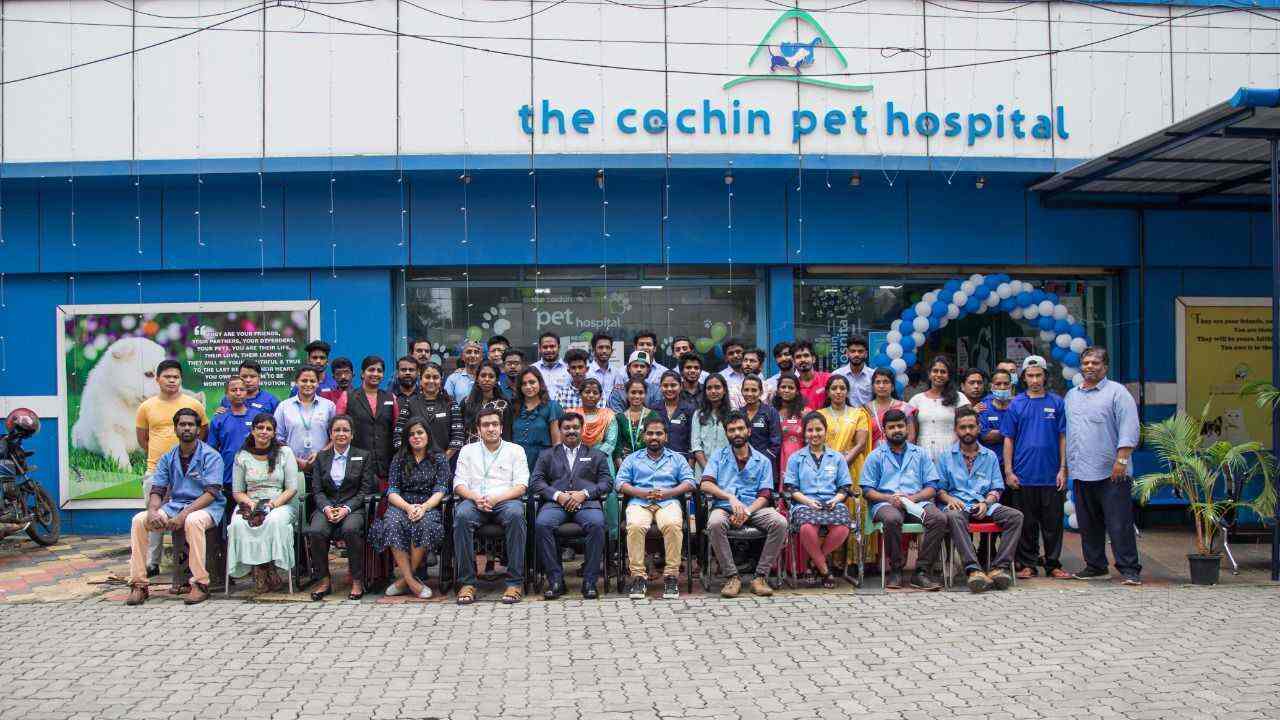 Top Pet Shops in Ernakulam Best Pet Store near me Justdial