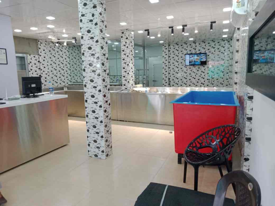 Top Fish Home Delivery in Thammanam, Ernakulam Best Seafood Delivery