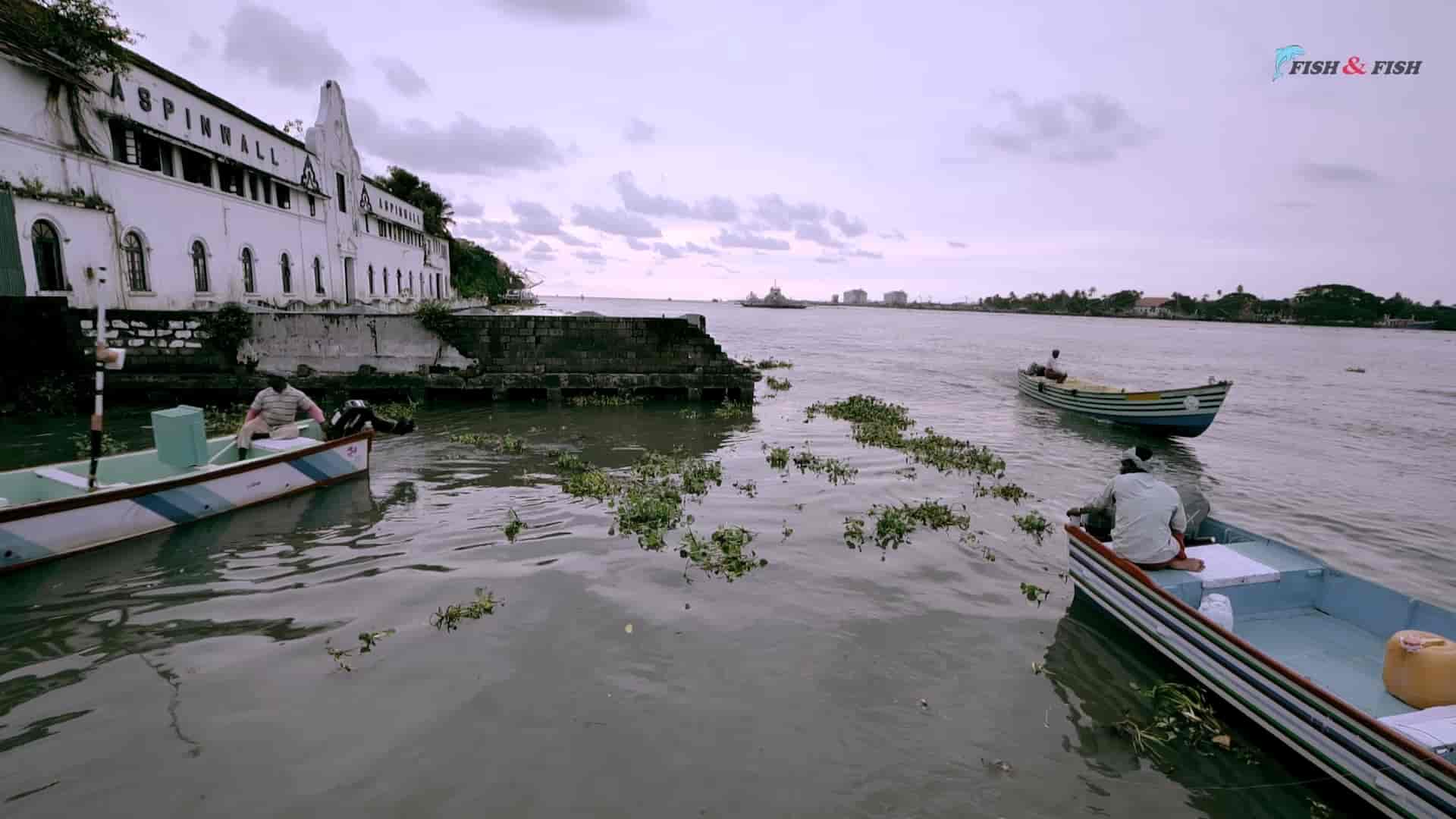 Top Fish Home Delivery in Thammanam, Ernakulam Best Seafood Delivery