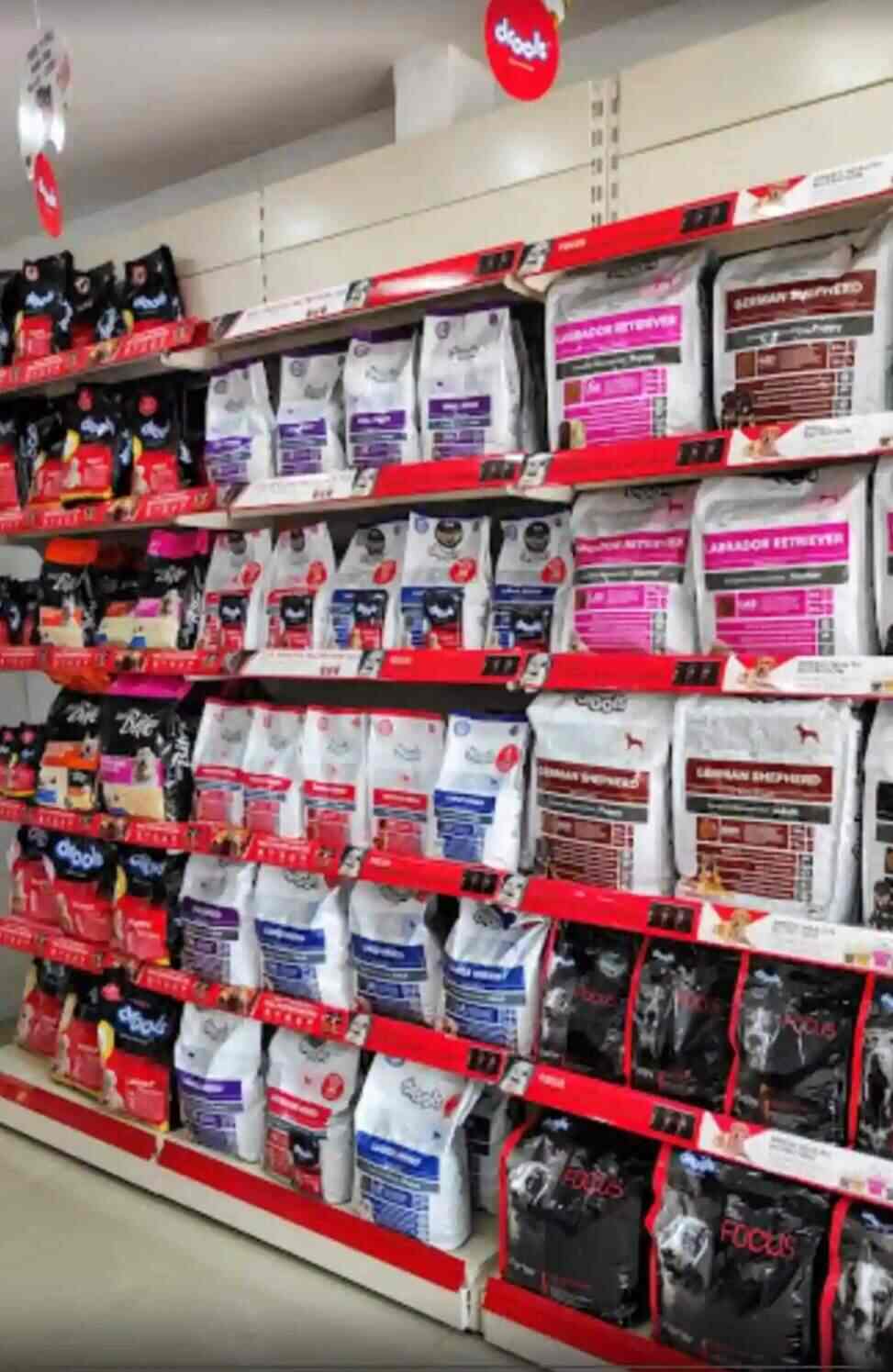 Top Pet Shops in Ernakulam Best Pet Store near me Justdial