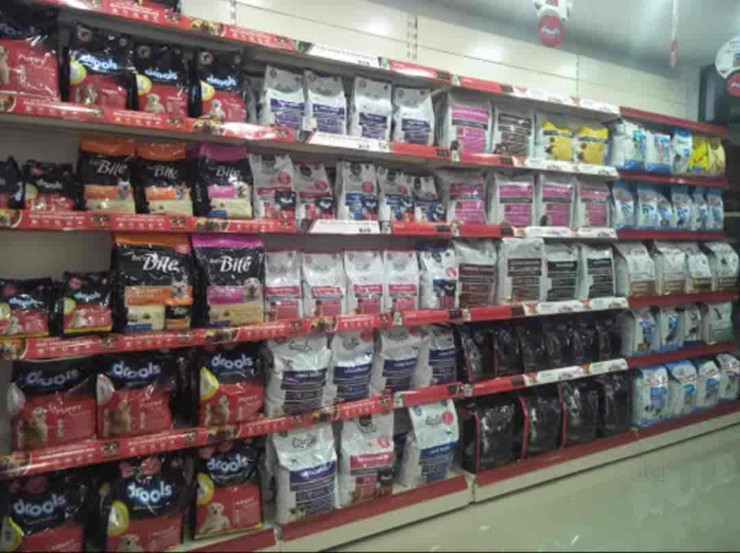Top Pet Shops in Ernakulam Best Pet Store near me Justdial
