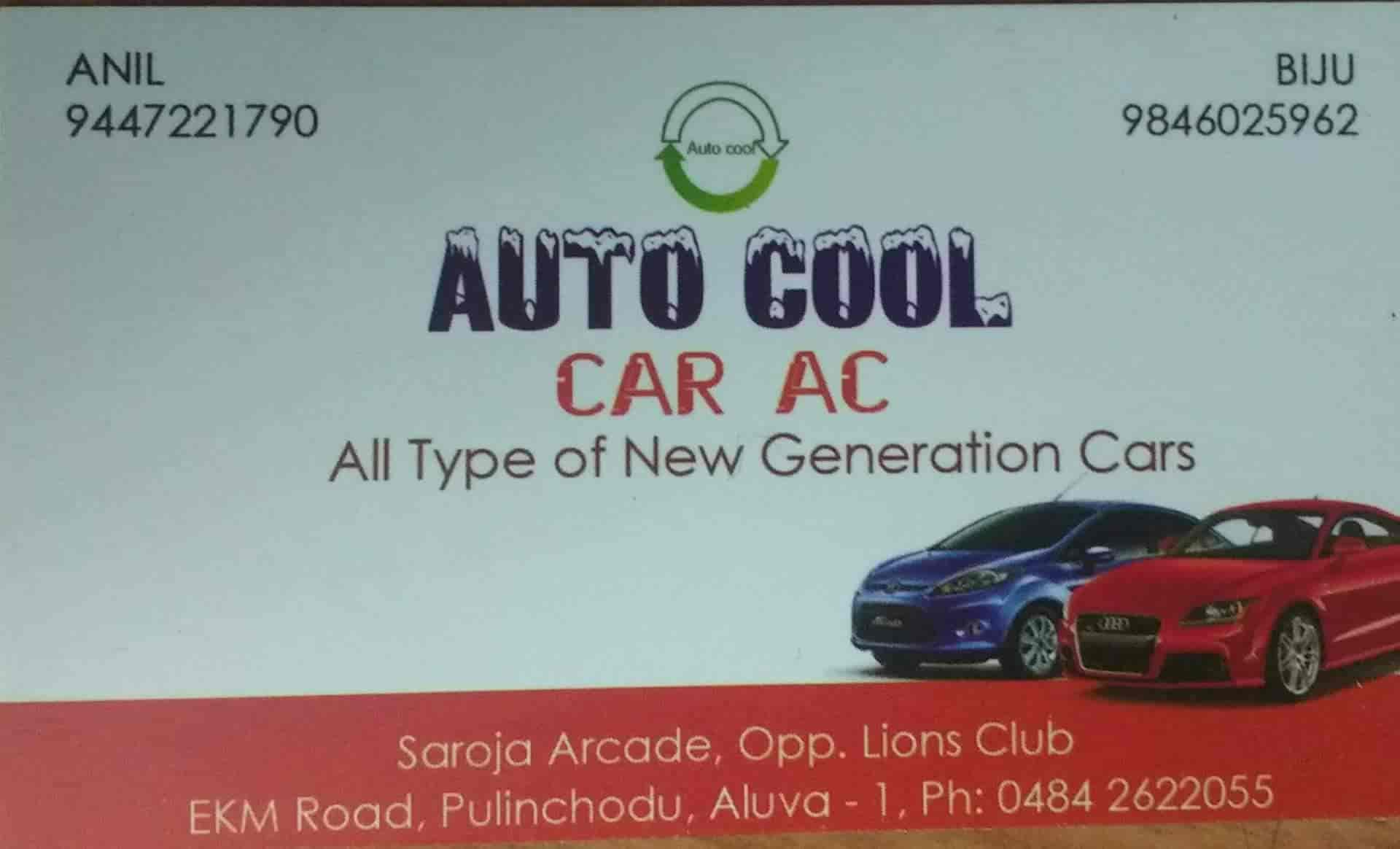 Autocool car hot sale cooler