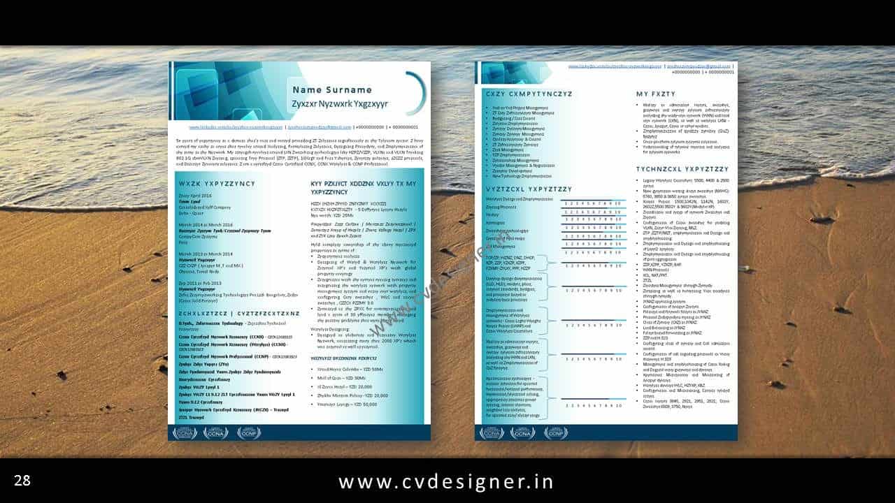 cv designer indias no 1 resume writer resume resume writer program