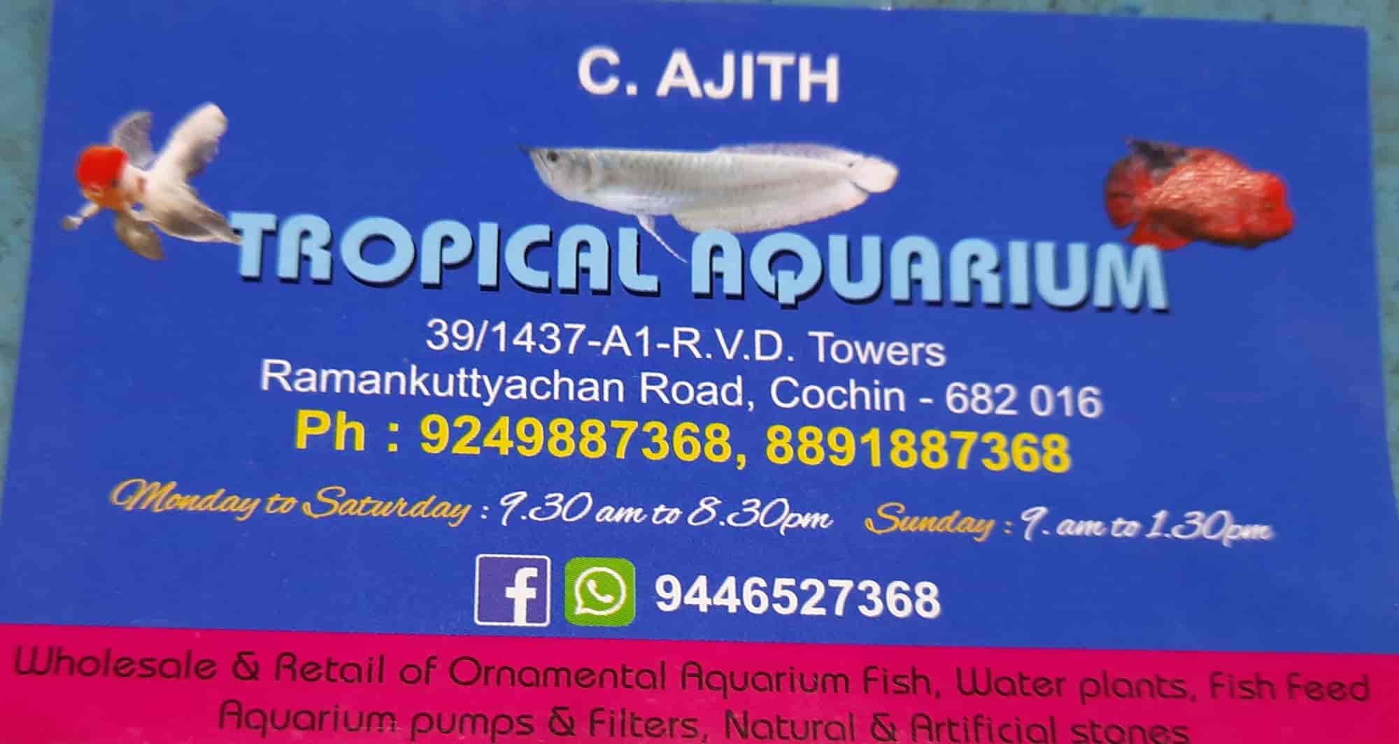 Tropical Aquarium in Ernakulam Hindi Prachar Sabha,Ernakulam Best