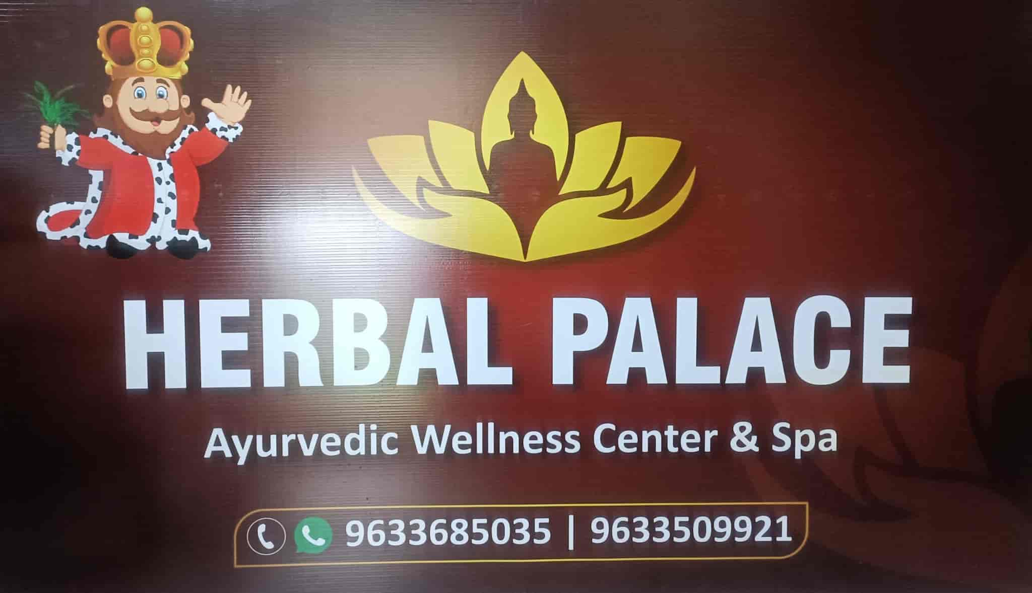 Herbal Palace Ayurvedic Wellness Center Andspa in Vennala,Ernakulam Best Body Massage Centres