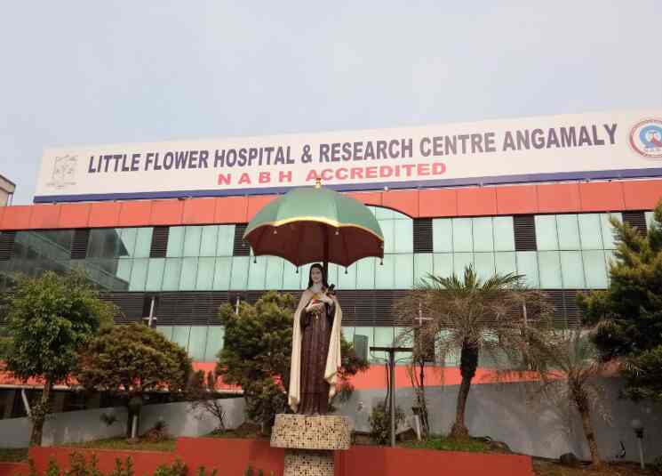 Little Flower Hospital Angamaly Enquiry Number Best Flower Site