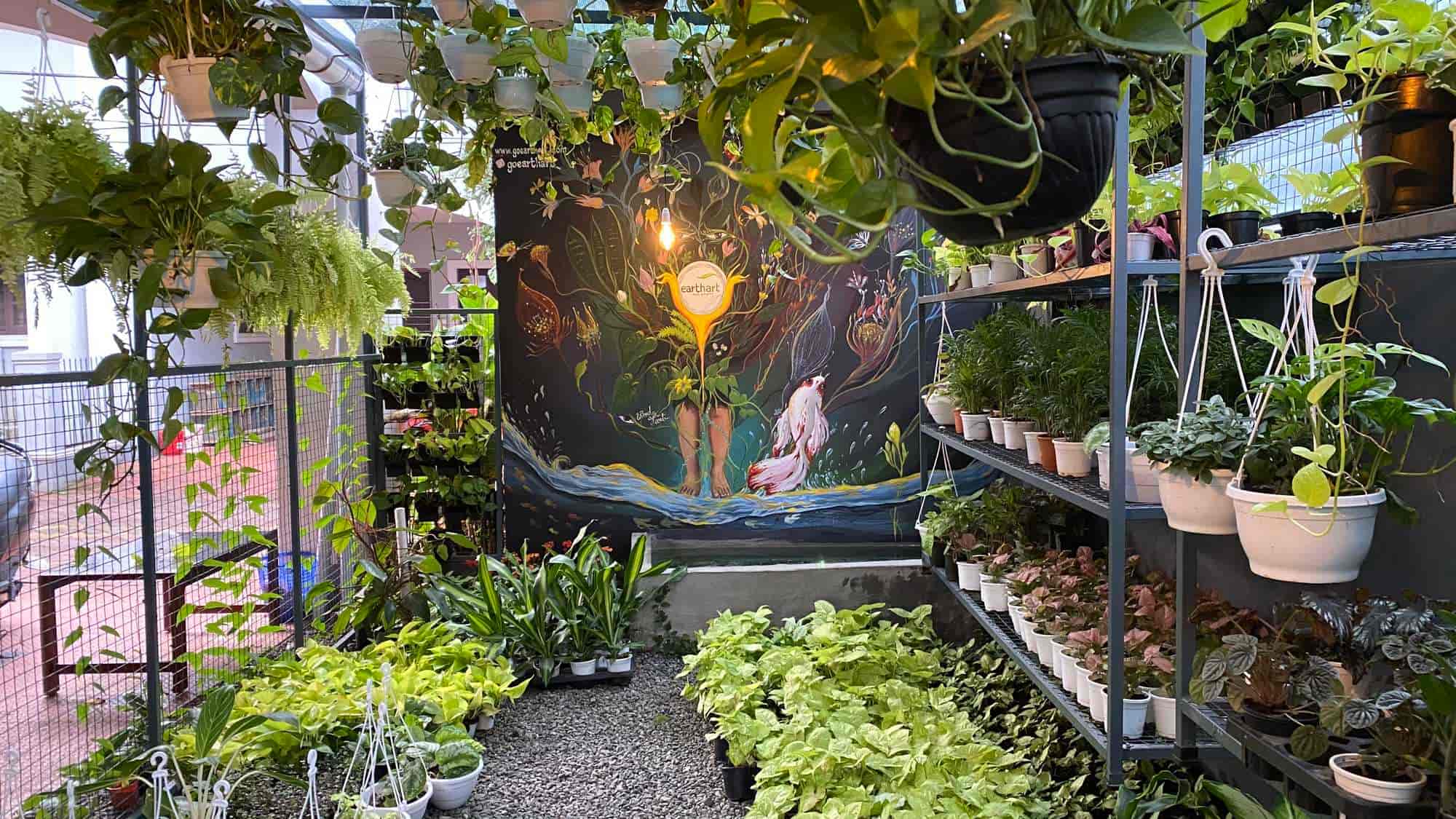 Indoor plant nursery near me deals
