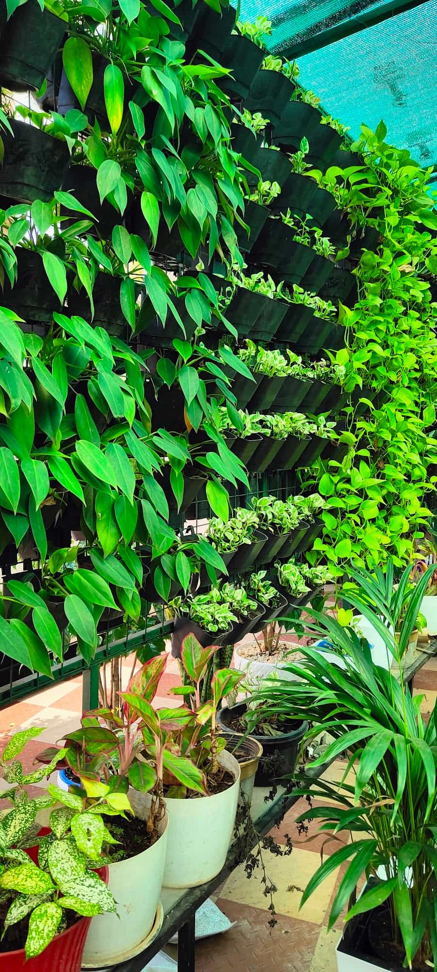 Catalogue Urban Green in Ernakulam Justdial