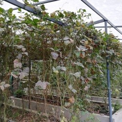 Top Aquaponic System Dealers in Kochi, Kochi ...