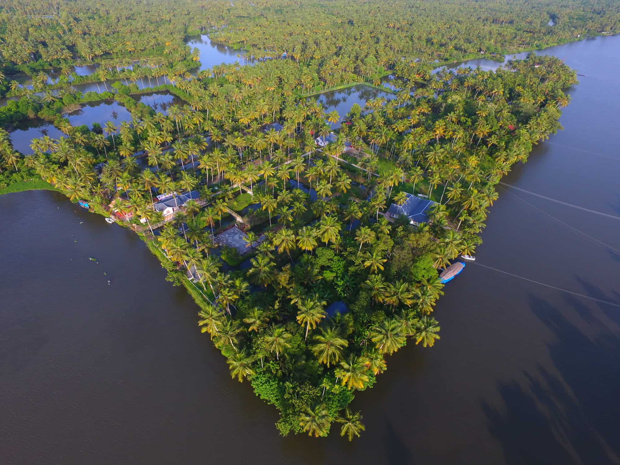 Luxury Resorts near Pampakuda, Ernakulam Top Resorts For Couples